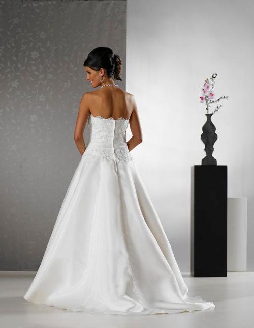 Modell SN 2955